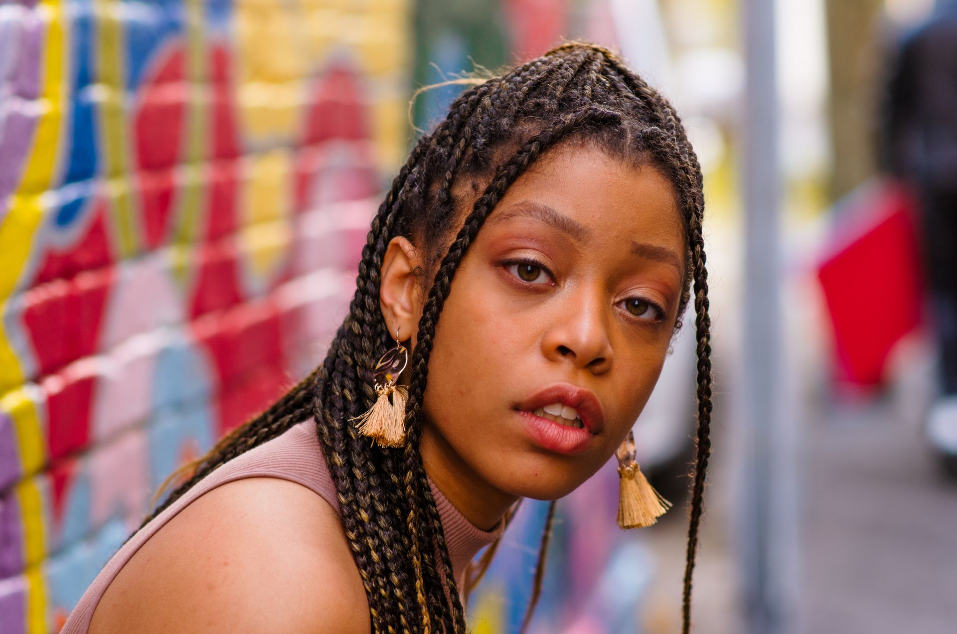 Afro-Caribbean braids hairstyle 4